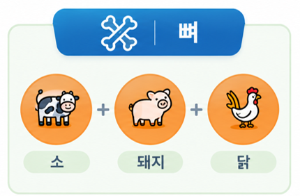 뼈